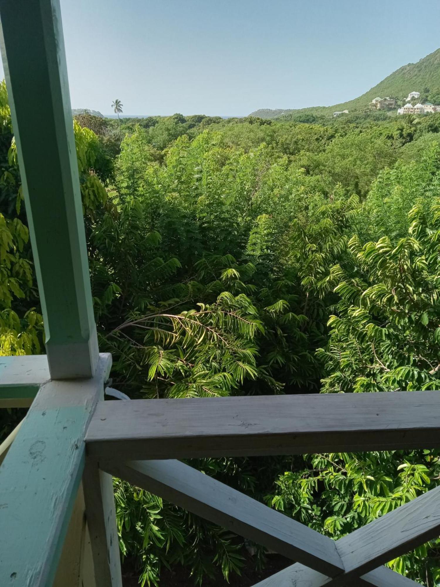 Apartment Unforgetable Gardens Falmouth Harbour Exterior foto